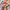 Kaos vintage Anime LOVE LIVE! Nico Yazawa  ©2013 AOP colour  photo 8