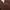 Carhartt Vintage Pria brown photo 3