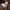 Carhartt Vintage Pria brown photo 4