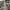 Converse Chuck Taylor all Star  photo 4