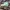 Converse Chuck Taylor all Star  photo 2