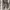 Hawkins Casual Boots Pria white brown photo 6