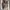 Hawkins Casual Boots Pria white brown photo 5