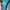 Melissa Possession Jelly Blue photo 4