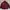 CONVERSE Track Jacket Windbreakers Maroon