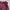CONVERSE Track Jacket Windbreakers Maroon photo 2