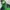 The North Face Gorpcore  Gore-Tex Xcr Jacket Outdoor TNF