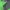 The North Face Gorpcore  Gore-Tex Xcr Jacket Outdoor TNF photo 5