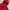 Dickies Jacket Outdoor Gorpcore Logo Small photo 2