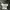Y2K Casual Crop top Wanita white photo 3