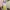 Longdress bkk 4 warna photo 1