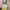 Longdress bkk 4 warna photo 2