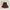 Brown Midi Skirt