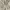 babydoll milkmaid lace tops photo 3