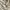 babydoll milkmaid lace tops photo 6