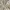 babydoll milkmaid lace tops photo 4