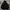 Stone Island Hoodie photo 1