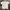 Covernat T-shirt photo 1