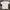 Covernat T-shirt