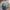 GTA V xbox one BD (Grand Theft Auto V)  photo 4