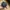 Snapback Logo Cap Original Carhartt Work in Progress Black photo 6