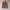 Kemeja Sunsurf Hawaiian Longsleeve Shirt Oversize photo 5
