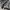 Schott NYC Casual Boots Pria black photo 5