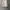 Kaos / T-Shirt Long Sleeve Korea Lookple Second photo 1