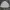 Gianni Valentino Streetwear Y2K Windbreaker Pria cream tan photo 7