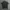 FRED PERRY photo 1