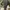 JAKET WINDBREAKER NIKE SMALL SWOOSH Y2K TAPPED SPORTSTYLE photo 2