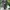 JAKET WINDBREAKER NIKE SMALL SWOOSH Y2K TAPPED SPORTSTYLE photo 1