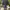 JAKET WINDBREAKER NIKE TAPPED SMALLS SWOOSH Y2K SPORTSTYLE  photo 2