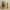 SNEAKERS WANITA SUPERGA X LOVE BONITO ORIGINAL  photo 3