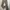Cutbray photo 2