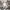 Another Shop Vintage Y2K Other Pria brown gray photo 1