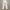 Beams plus ivory denim pants photo 6