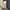 Beams plus ivory denim pants photo 1