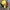 vintage nascar havoline 28 photo 8