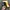 vintage nascar havoline 28 photo 2