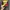 vintage nascar havoline 28 photo 1