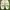Crocs Casual Sandals & slide Wanita white cream photo 1
