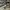 GUCCI SCREENER GG SNEAKERS , GUCCI SCREENER SEPATU , SNEAKER photo 1