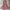 backless colorful dress photo 1