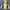 Sportswear Track jacket Pria yellow photo 1