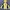Sportswear Track Jacket Pria Yellow
