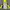 Sportswear Track jacket Pria yellow photo 2