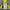 Sportswear Track Jacket Pria Yellow