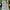 Sportswear Track jacket Pria yellow photo 6