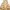 H&M Vintage Summer Dress Wanita Green Yellow
